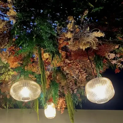 decor-vegetal-restaurant-rodez-