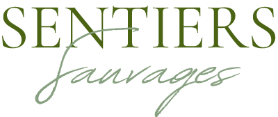 logo-clr