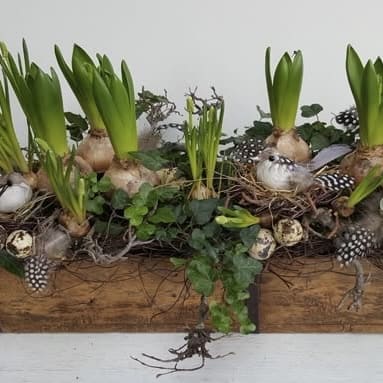 Atelier jardin de bulbes