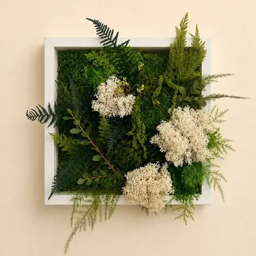 atelier cadre vegetal
