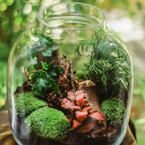 atelier terrarium