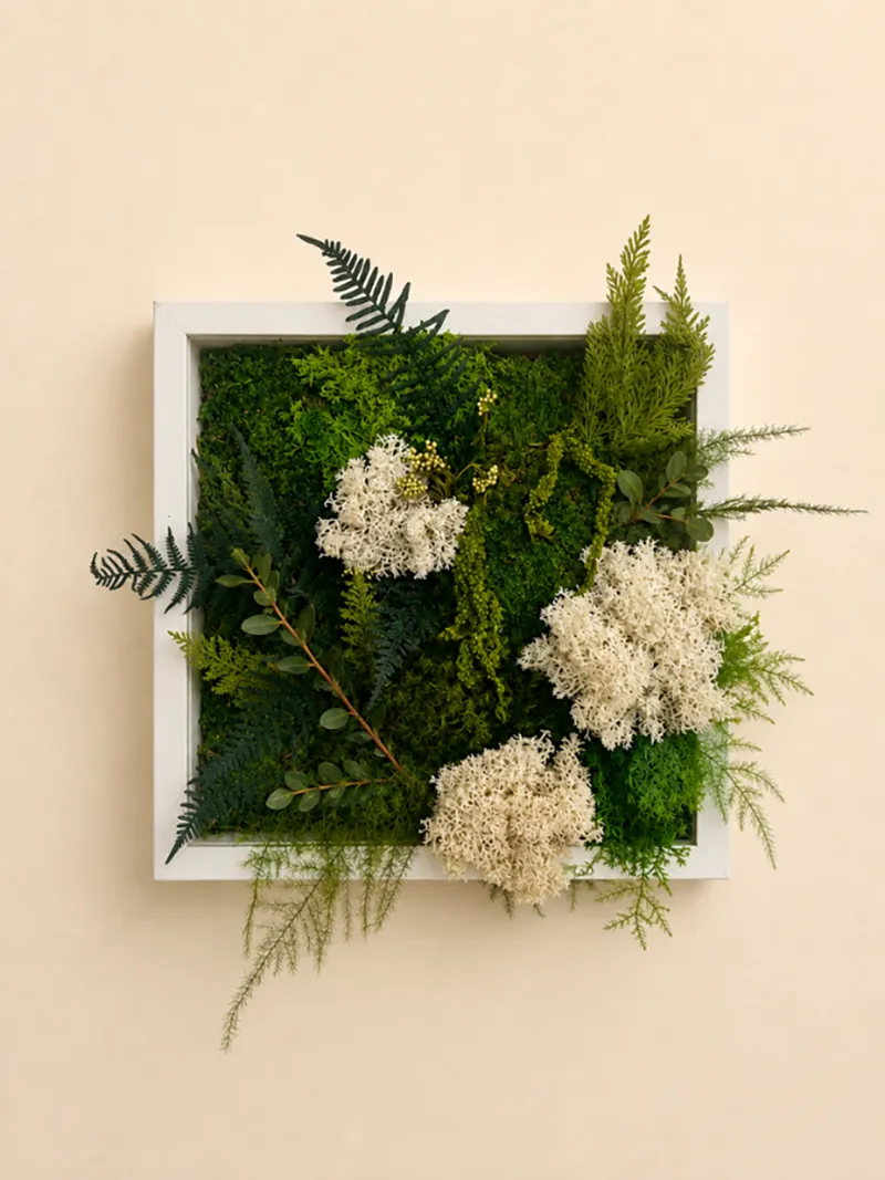 cadre vegetal